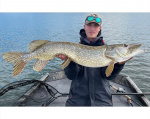 St. Croix Legend Tournament Pike - Magnum Swimbait - 259cm 100-300g T St. Croix Legend Tournament Pike - Magnum Swimbait - 259cm 100-300g T